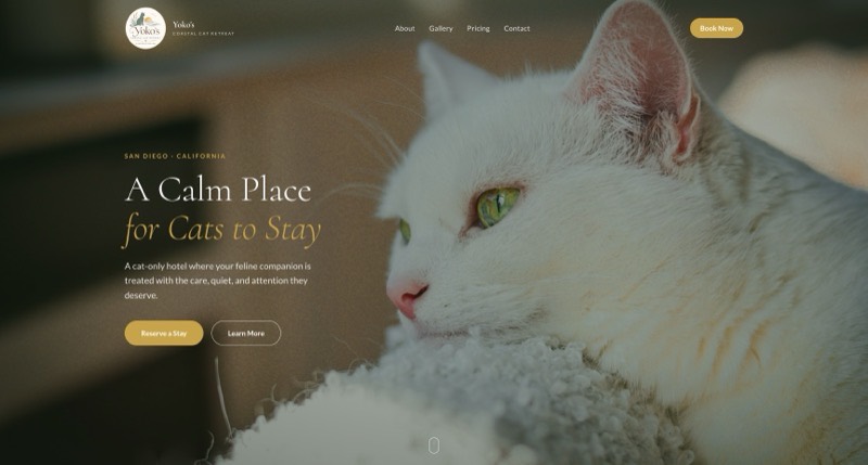 Yoko's Coastal Cat Retreat homepage: a close-up portrait of a white cat beside the headline A Calm Place for Cats to Stay and a reservation call to action.
